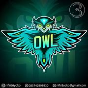 Image result for Angry Owl Logo