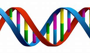 Image result for DNA Graphic Design