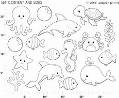 Image result for Underwater Animals Coloring Pages