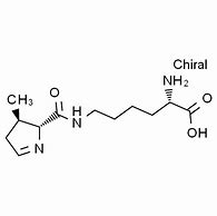 Image result for Pyrrolysine