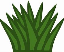 Image result for Green Cartoon Grass Background