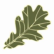 Image result for Oak Leaf Design