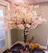 Image result for Cherry Blossom Tree Bark