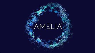 Image result for Conversational Chatbot Amelia Ai