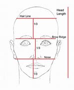 Image result for Draw Face Proportions