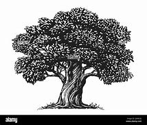 Image result for Black and White Majestic Tree Drawing