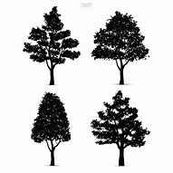 Image result for Apple Tree Silhouette Vector