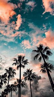 Image result for 4K Vector Art Palm Trees Wallpaper 4K