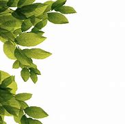 Image result for Leaves SVG Free