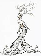 Image result for Shrub Willow Illustration