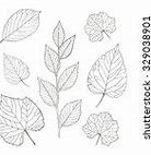 Image result for Basic Leaf Outline