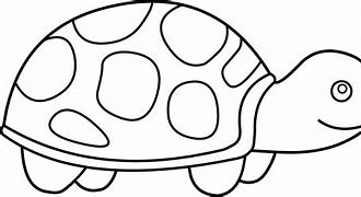 Image result for Baby Turtle Coloring Book Picture