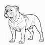 Image result for Puppy Dog Coloring Pages