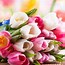 Image result for Bright Colorful Flowers Background