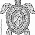 Image result for Detailed Animal Coloring Pages