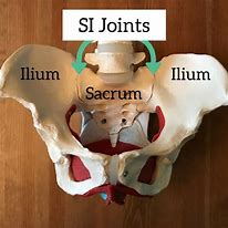 Image result for Normal Sacroiliac Joint