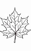 Image result for Leaf Outline Vector