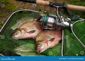 Image result for Fishing Rod and Reel Clip Art