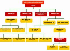 Image result for A 24 Organization Chart