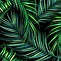 Image result for Paper Palm Leaf Pattern