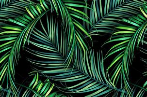 Image result for Tropical Leaf Design