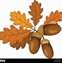 Image result for Acorn Leaf Clip Art