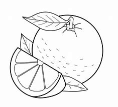 Image result for Orange Coloring Pic