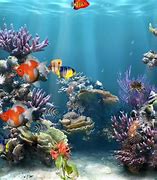 Image result for Live Aquarium Screensaver