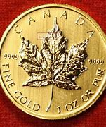 Image result for Twin Maple Leaf Gold Coins