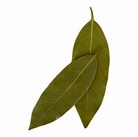 Image result for Bay Leaf Chinese