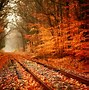 Image result for Autumn Leaves Desktop Wallpaper