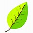 Image result for Green Leaf Vector Png