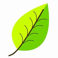 Image result for Leaf Art Year 1