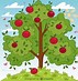 Image result for Apple Tree Vector