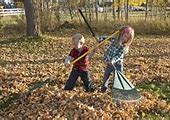 Image result for Raking Fall Leaves Clip Art