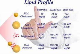 Image result for Lipids Blood Test Spreadsheet