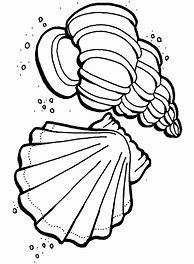 Image result for Preschool Ocean Coloring Pages