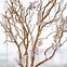 Image result for Dry Tree Branches Decoration