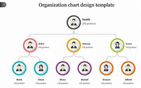 Image result for Professional Organization Chart Design