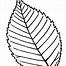 Image result for Simple Leaf Line Art