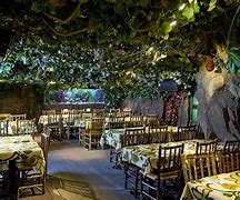 Image result for Forest Cafe