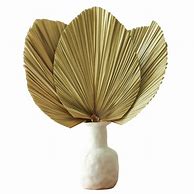 Image result for Downloadable Palm Leaf