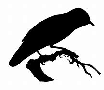 Image result for Free Bird Silhouette