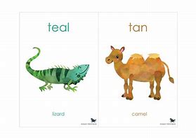 Image result for Colour Animals Flash Cards for Kids