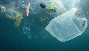 Image result for Plastic Carrier Bags in Ocean