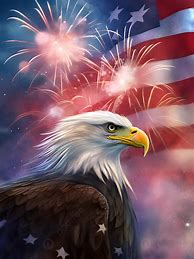 Image result for American Flag Bald Eagle with Shield