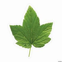 Image result for Green Leaf Cutouts