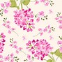 Image result for Pink and Brown Flowers