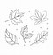 Image result for Oak Leaf Outline