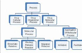 Image result for Hierarchy of Molecular Work